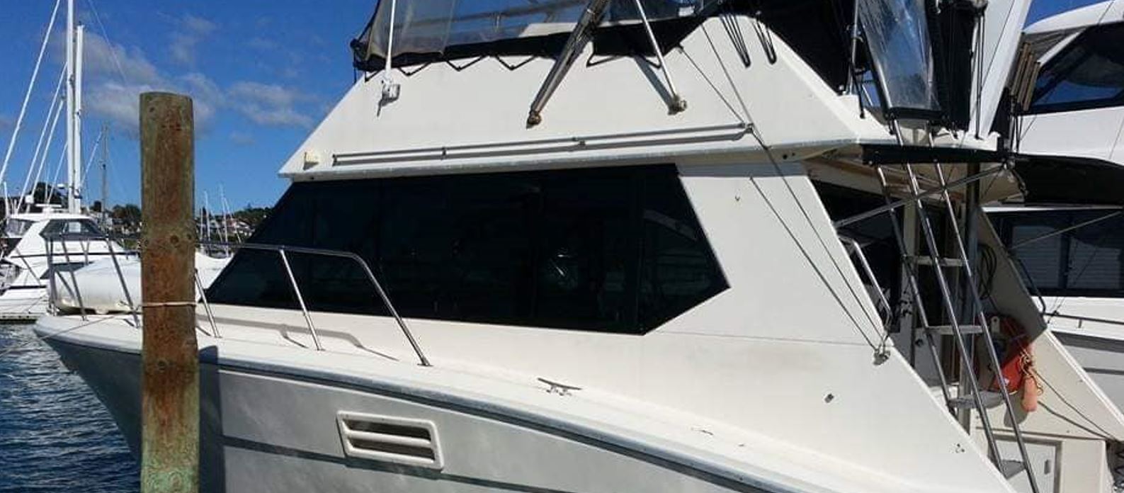 tinted boat auckland